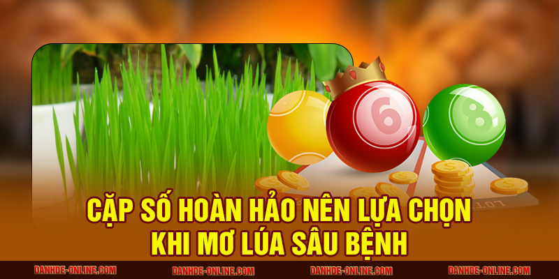 Ngủ Mơ Thấy Lúa Nên Đánh Con Số Nào Để Xoay Đổi Vận Mệnh? 3 Cặp số hoàn hảo nên lựa chọn khi mơ lúa sâu bệnh