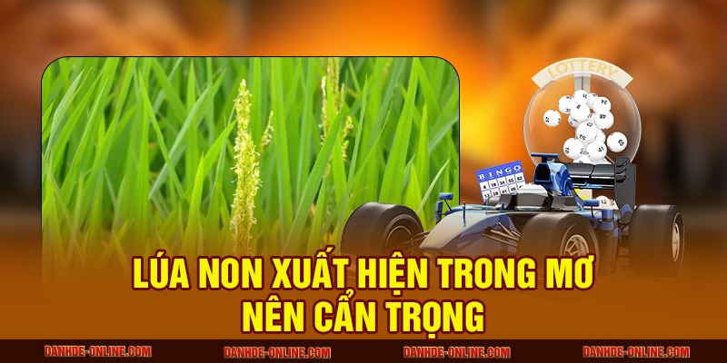 Ngủ Mơ Thấy Lúa Nên Đánh Con Số Nào Để Xoay Đổi Vận Mệnh? 1 Lúa non xuất hiện trong mơ nên cẩn trọng