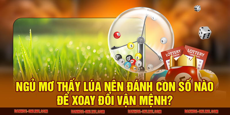 ngủ mơ thấy lúa