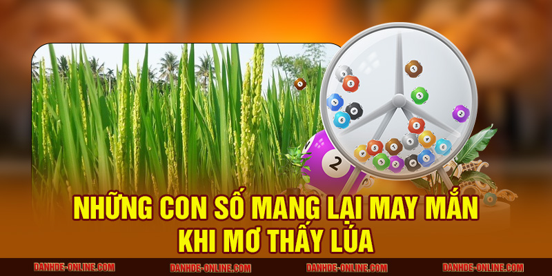 Ngủ Mơ Thấy Lúa Nên Đánh Con Số Nào Để Xoay Đổi Vận Mệnh? 2 Những con số mang lại may mắn khi mơ thấy lúa